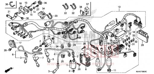 WIRE HARNESS (VT750CS/C2S) VT750CSE de 2014
